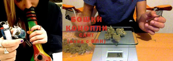 ГАЛЛЮЦИНОГЕННЫЕ ГРИБЫ Белокуриха