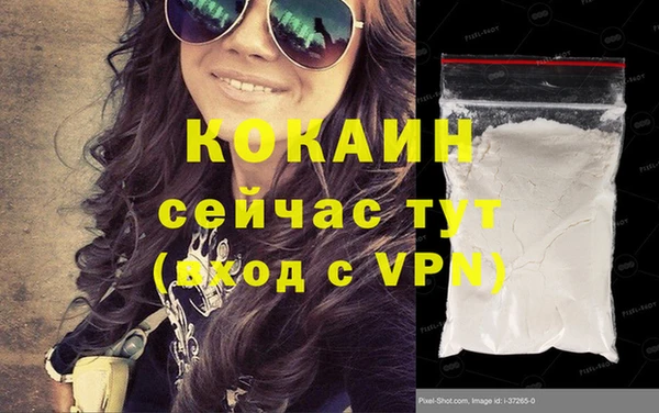 ГАЛЛЮЦИНОГЕННЫЕ ГРИБЫ Белокуриха