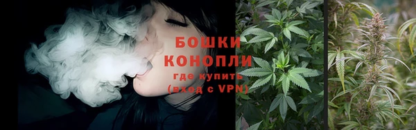 ГАЛЛЮЦИНОГЕННЫЕ ГРИБЫ Белокуриха