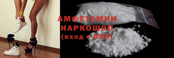 ГАЛЛЮЦИНОГЕННЫЕ ГРИБЫ Белокуриха