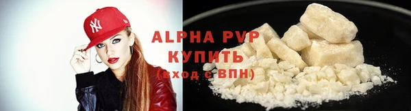 прущие грибы Беломорск