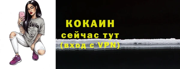 прущие грибы Беломорск