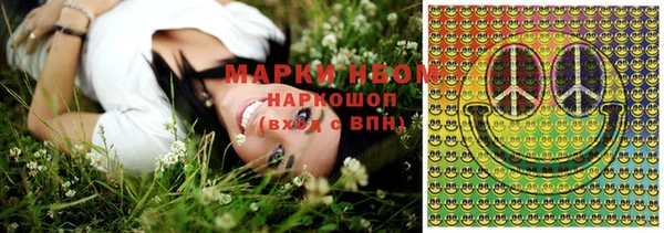 прущие грибы Беломорск