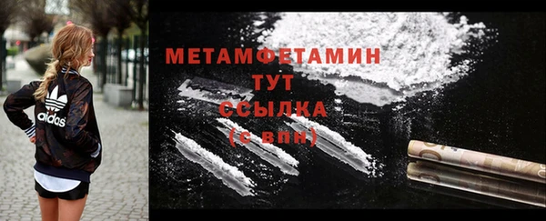 прущие грибы Беломорск