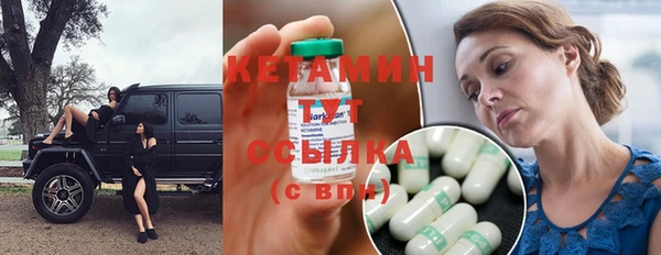 прущие грибы Беломорск