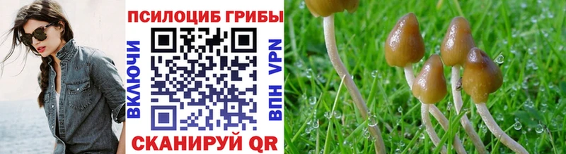 наркошоп  Гай  Галлюциногенные грибы ЛСД 